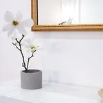 Quartierino Apartmán